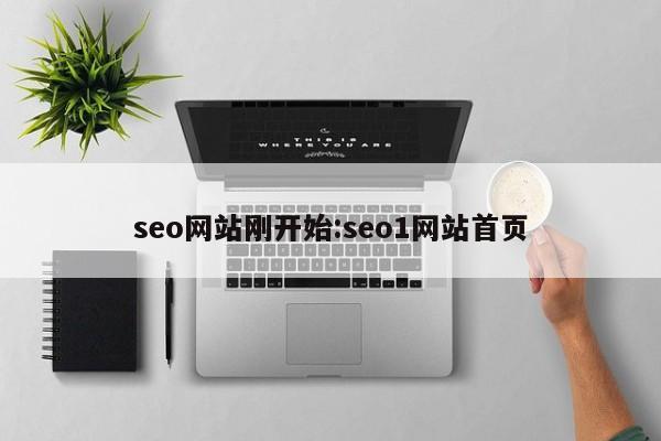 seo网站刚开始:seo1网站首页